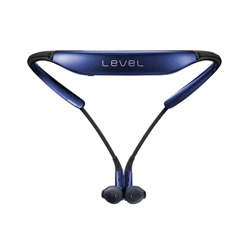 Level U