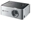 P310